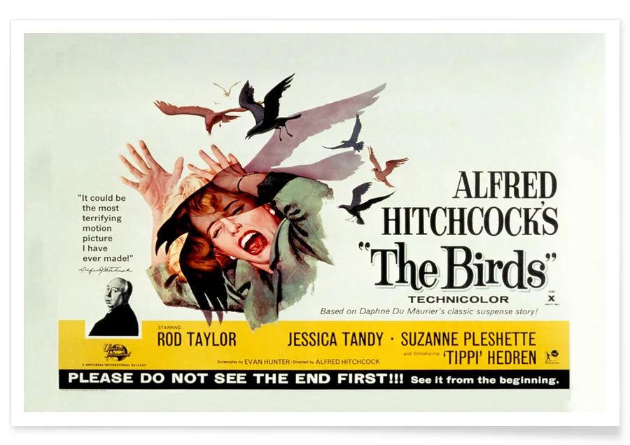 Alfred Hitchcock 'The Birds' Retro Movie Poster | JUNIQE