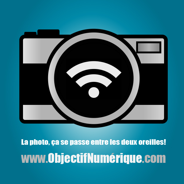 ONLogo_Impact_2020_slogan_660px